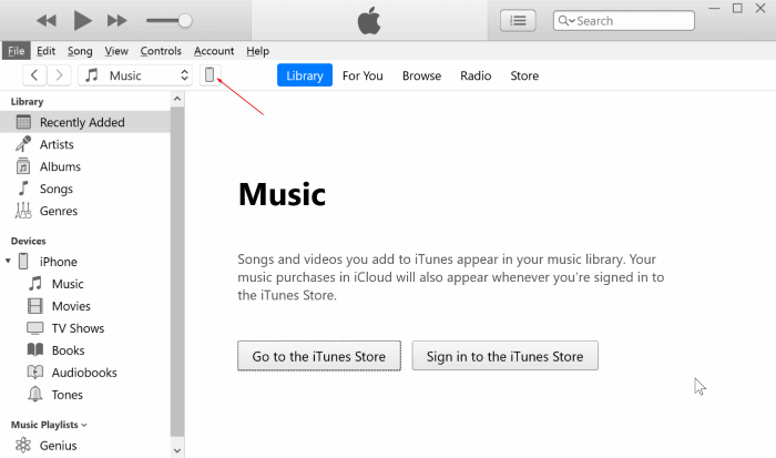 在Windows 10中使用iTunes備份和還原iPhone